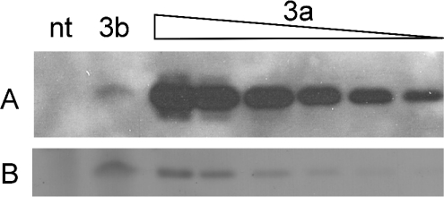 An external file that holds a picture, illustration, etc.
Object name is bic599i008.jpg