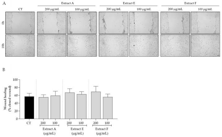 An external file that holds a picture, illustration, etc.
Object name is molecules-29-03960-g003.jpg