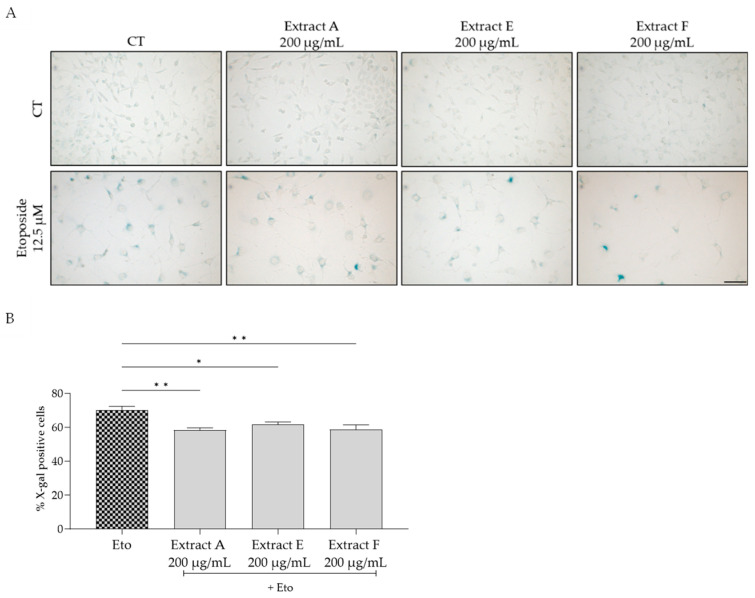 An external file that holds a picture, illustration, etc.
Object name is molecules-29-03960-g004.jpg