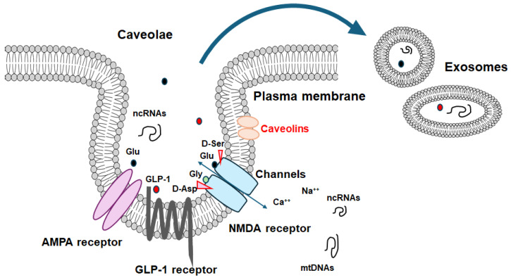 An external file that holds a picture, illustration, etc.
Object name is molecules-29-03922-g001.jpg