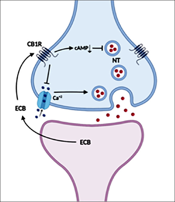 An external file that holds a picture, illustration, etc.
Object name is turkpsychiatry-35-234-g001.jpg