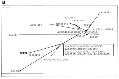 An external file that holds a picture, illustration, etc.
Object name is jv101223405b.jpg