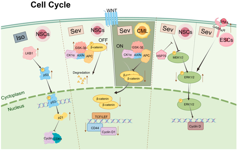 An external file that holds a picture, illustration, etc.
Object name is biomolecules-14-01167-g001.jpg