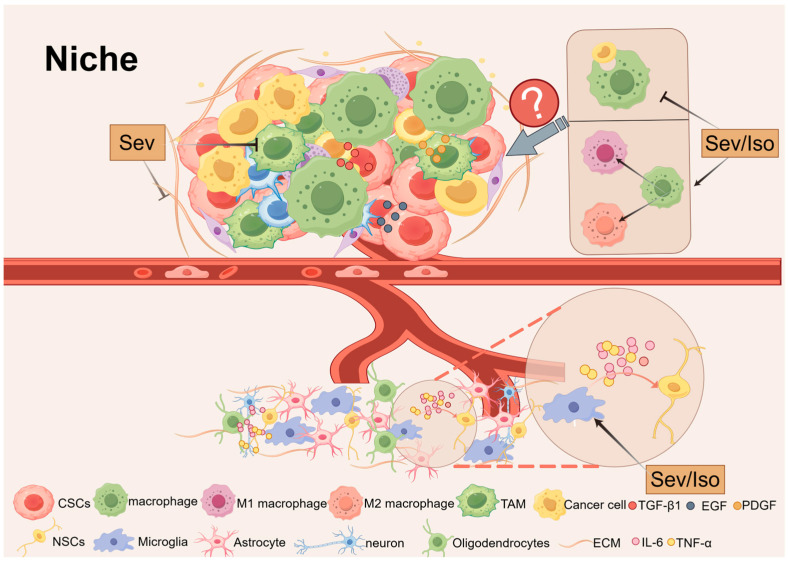 An external file that holds a picture, illustration, etc.
Object name is biomolecules-14-01167-g004.jpg