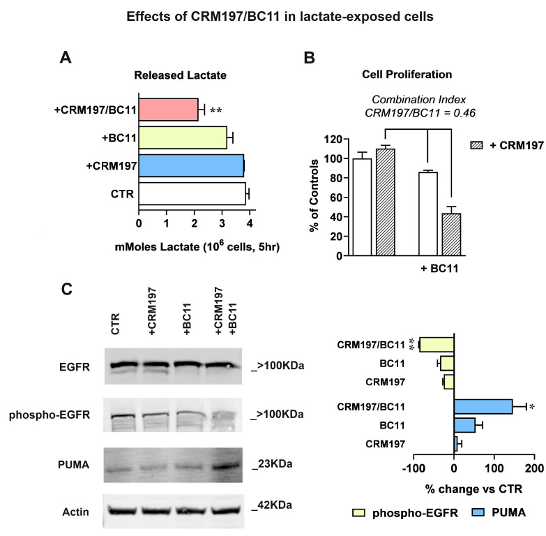 An external file that holds a picture, illustration, etc.
Object name is cells-13-01533-g006.jpg