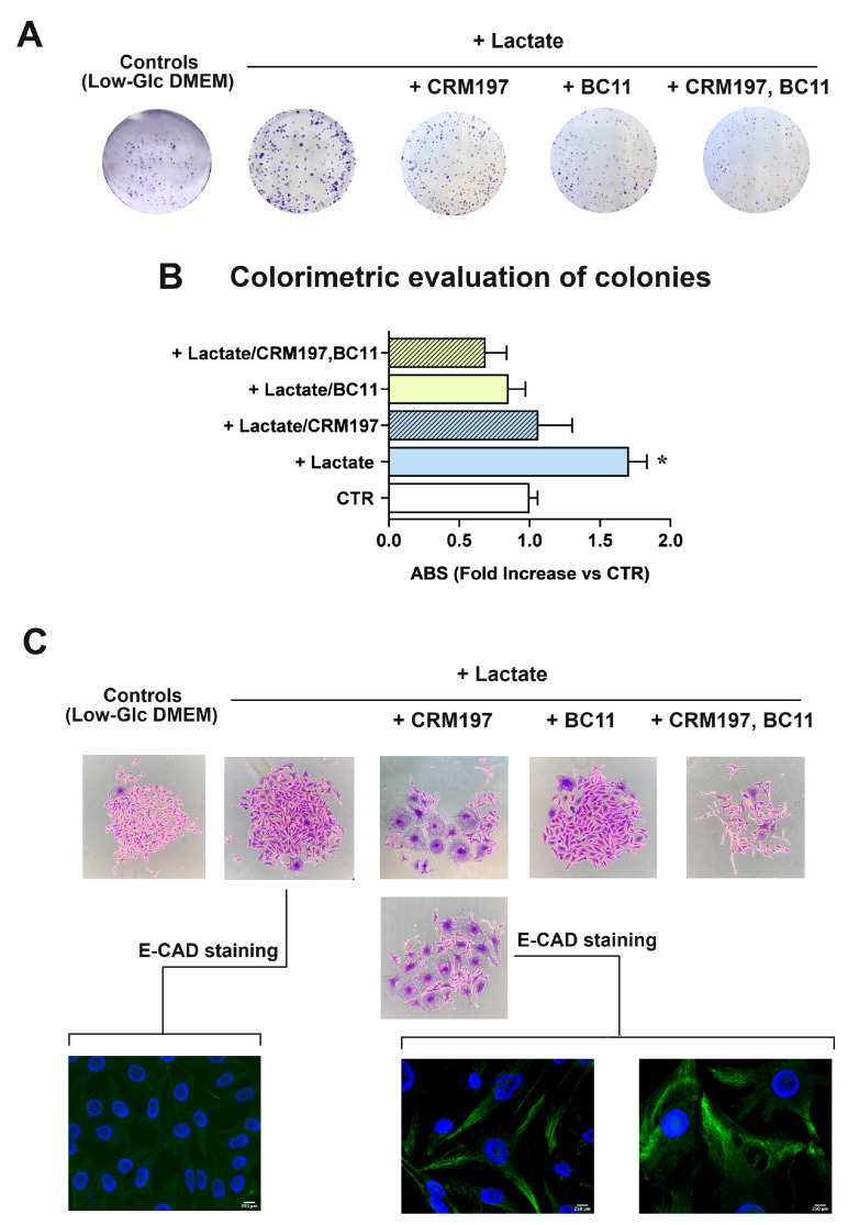 An external file that holds a picture, illustration, etc.
Object name is cells-13-01533-g008.jpg