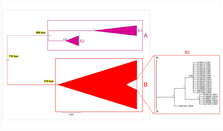 An external file that holds a picture, illustration, etc.
Object name is life-14-01116-g003.jpg