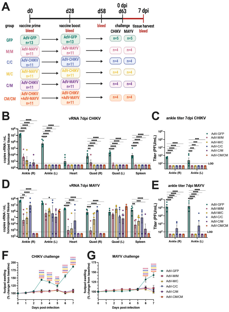 An external file that holds a picture, illustration, etc.
Object name is vaccines-12-00970-g002.jpg