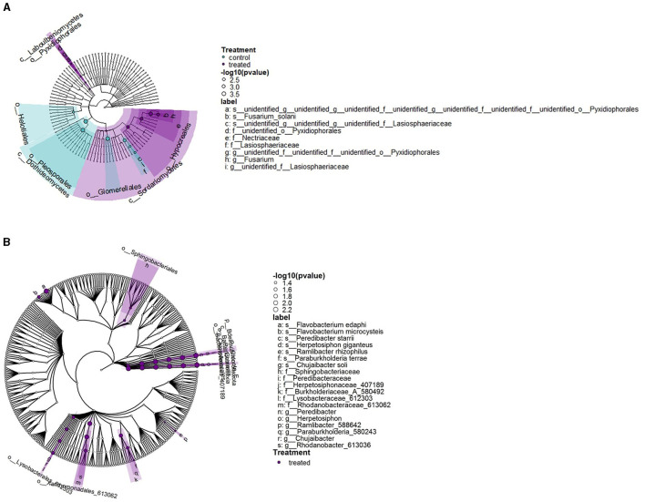 An external file that holds a picture, illustration, etc.
Object name is fmicb-15-1453699-g0006.jpg