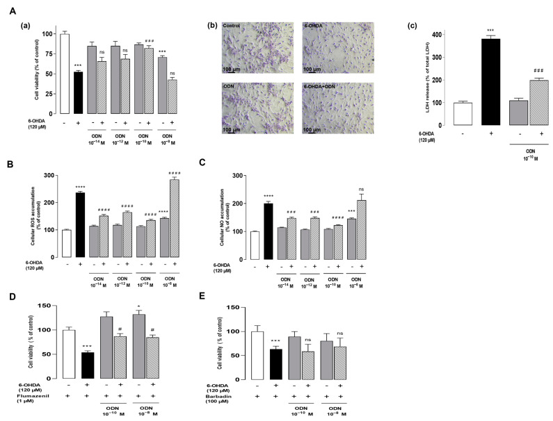 An external file that holds a picture, illustration, etc.
Object name is cells-13-01188-g001.jpg