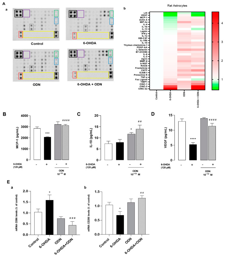 An external file that holds a picture, illustration, etc.
Object name is cells-13-01188-g003.jpg