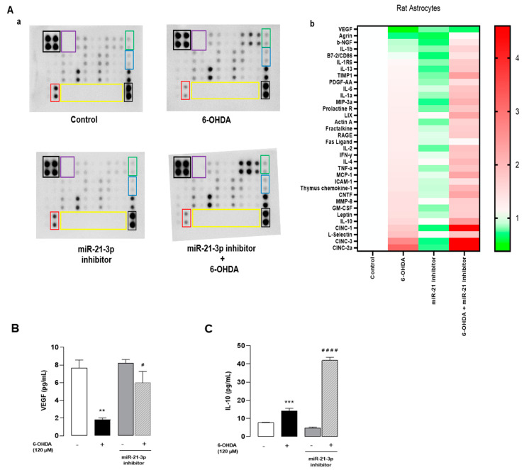 An external file that holds a picture, illustration, etc.
Object name is cells-13-01188-g006.jpg