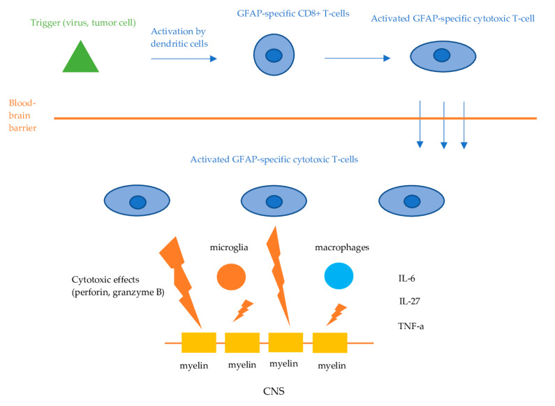 An external file that holds a picture, illustration, etc.
Object name is antibodies-13-00079-g002.jpg