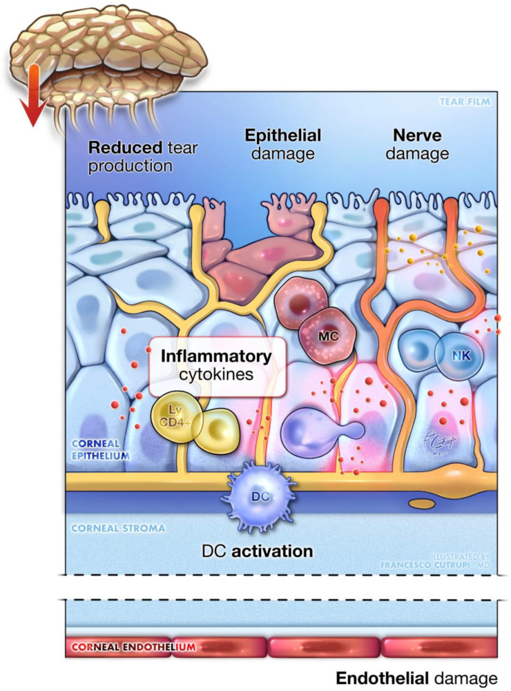 An external file that holds a picture, illustration, etc.
Object name is biomedicines-12-02346-g003.jpg