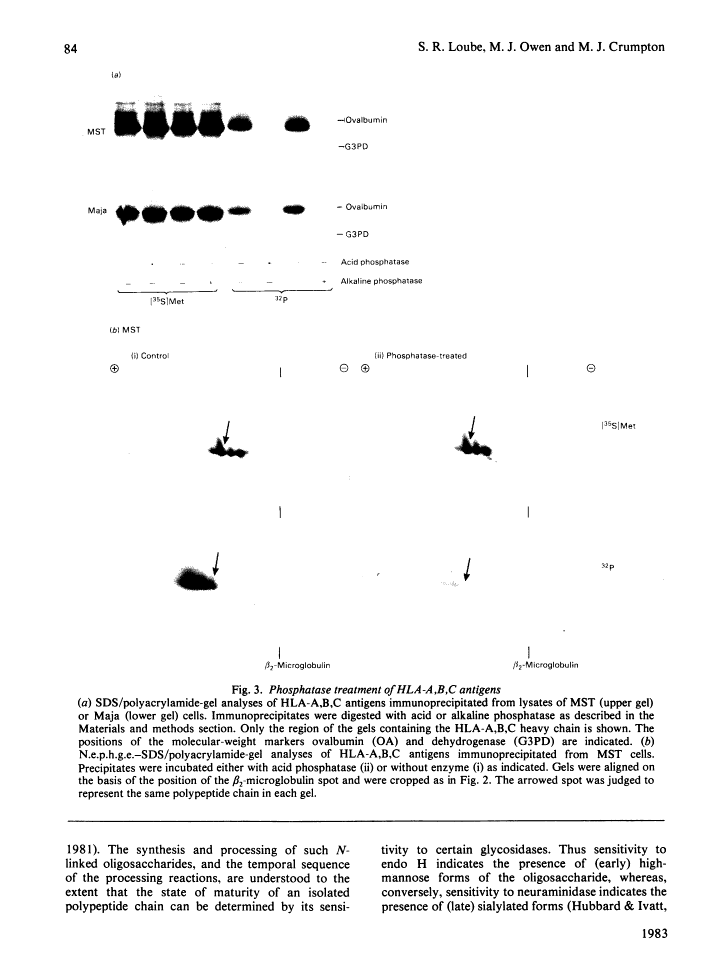 icon of scanned page 84