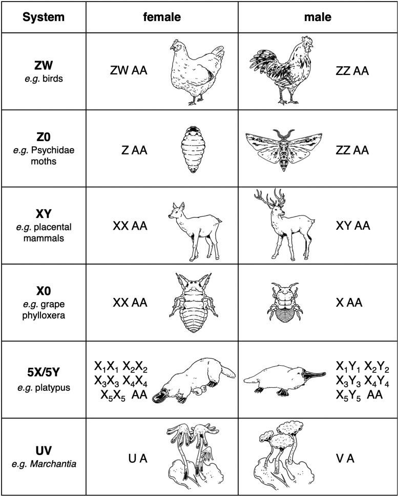 An external file that holds a picture, illustration, etc.
Object name is msae218f1.jpg