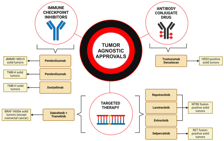 An external file that holds a picture, illustration, etc.
Object name is cancers-16-03642-g001.jpg