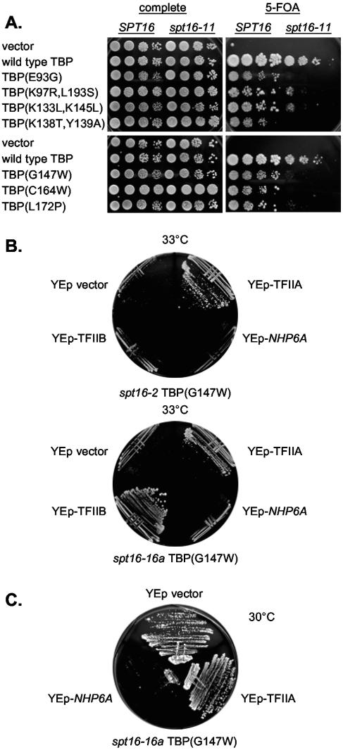 An external file that holds a picture, illustration, etc.
Object name is zmb0140551790001.jpg