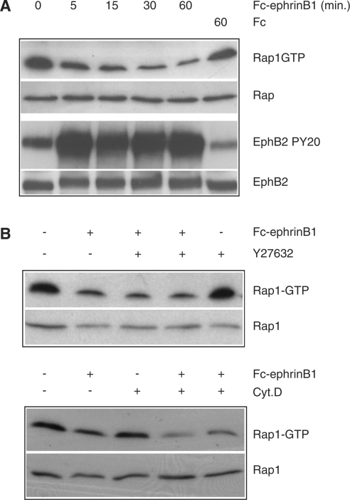 An external file that holds a picture, illustration, etc.
Object name is bic861i002.jpg