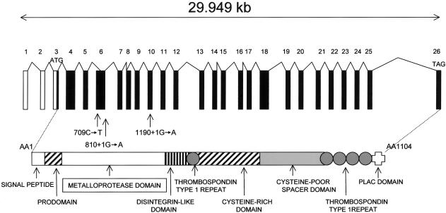 An external file that holds a picture, illustration, etc.
Object name is AJHGv75p801fg1.jpg