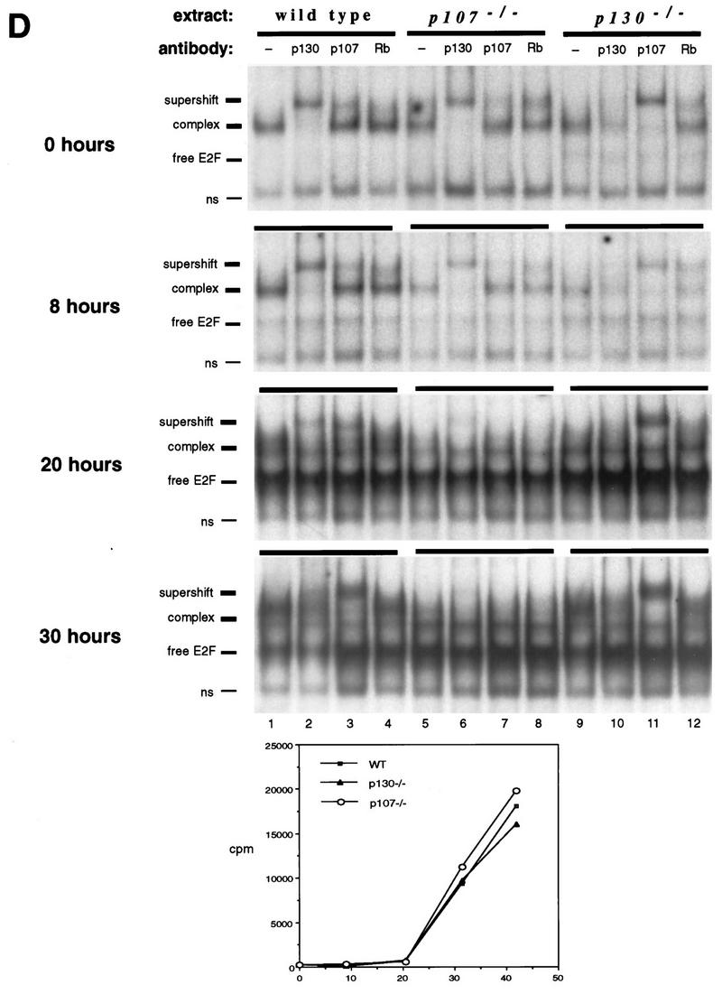 An external file that holds a picture, illustration, etc.
Object name is mb018085702d.jpg