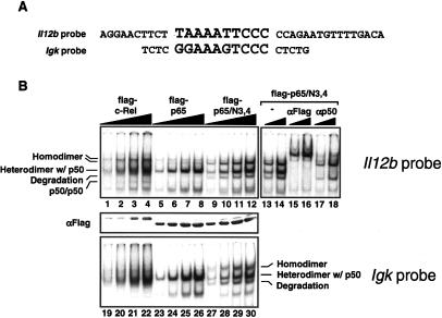 An external file that holds a picture, illustration, etc.
Object name is 2138fig5.jpg