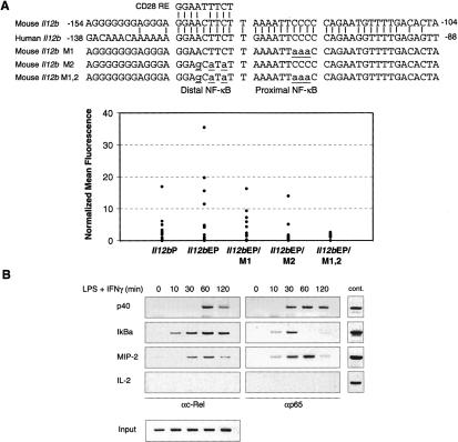 An external file that holds a picture, illustration, etc.
Object name is 2138fig6.jpg