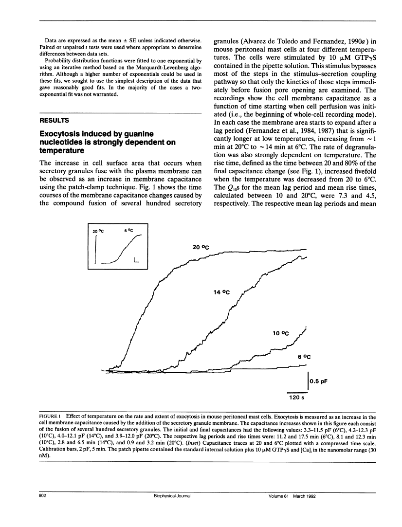 icon of scanned page 802