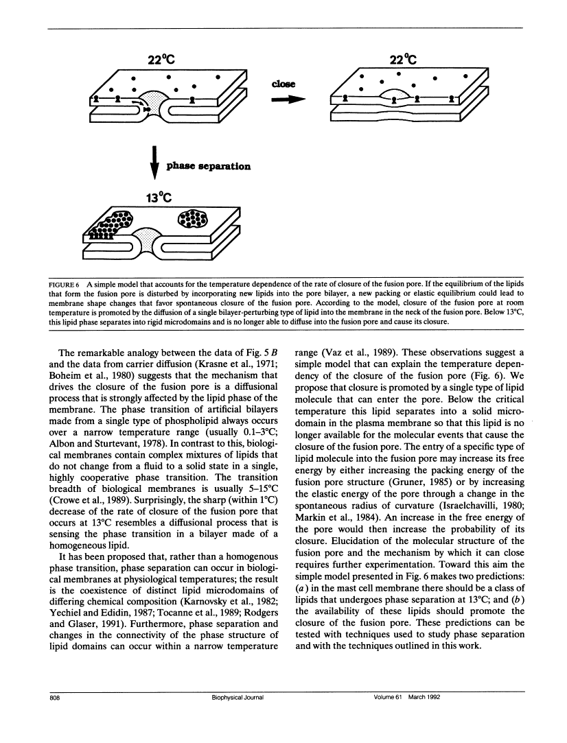 icon of scanned page 808