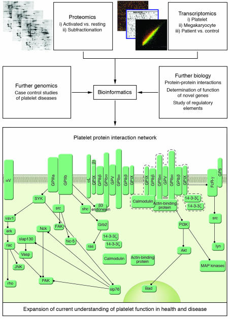 An external file that holds a picture, illustration, etc.
Object name is JCI0526885.f3.jpg