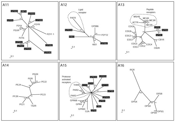 An external file that holds a picture, illustration, etc.
Object name is gb-2002-3-11-research0063-5.jpg