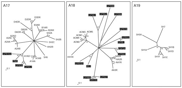 An external file that holds a picture, illustration, etc.
Object name is gb-2002-3-11-research0063-6.jpg