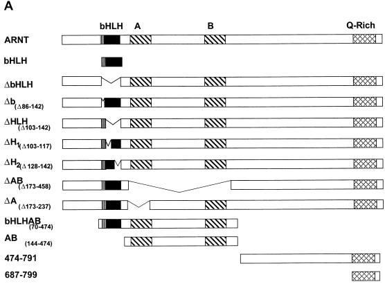 An external file that holds a picture, illustration, etc.
Object name is mb122172309a.jpg