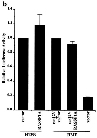 An external file that holds a picture, illustration, etc.
Object name is mb122191205b.jpg