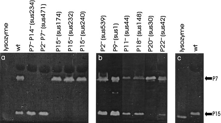 An external file that holds a picture, illustration, etc.
Object name is jb0120919001.jpg