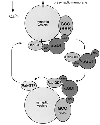 An external file that holds a picture, illustration, etc.
Object name is cdf603f7.jpg