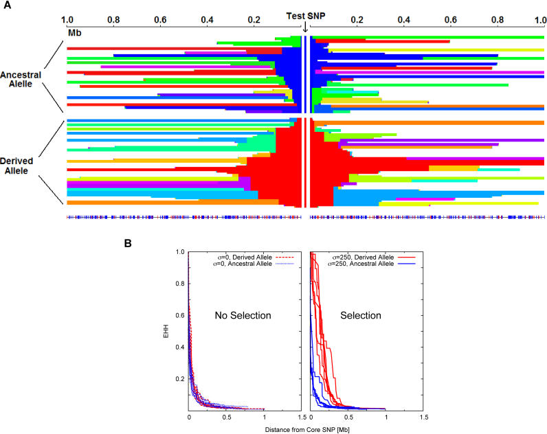 An external file that holds a picture, illustration, etc.
Object name is pbio.0040072.g001.jpg