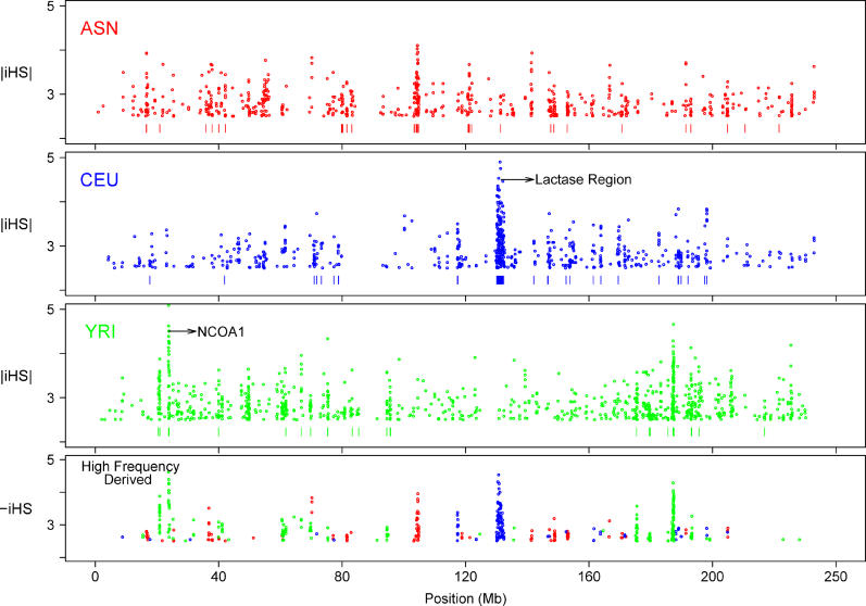 An external file that holds a picture, illustration, etc.
Object name is pbio.0040072.g003.jpg