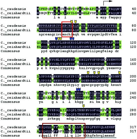 An external file that holds a picture, illustration, etc.
Object name is zmr0010621130011.jpg