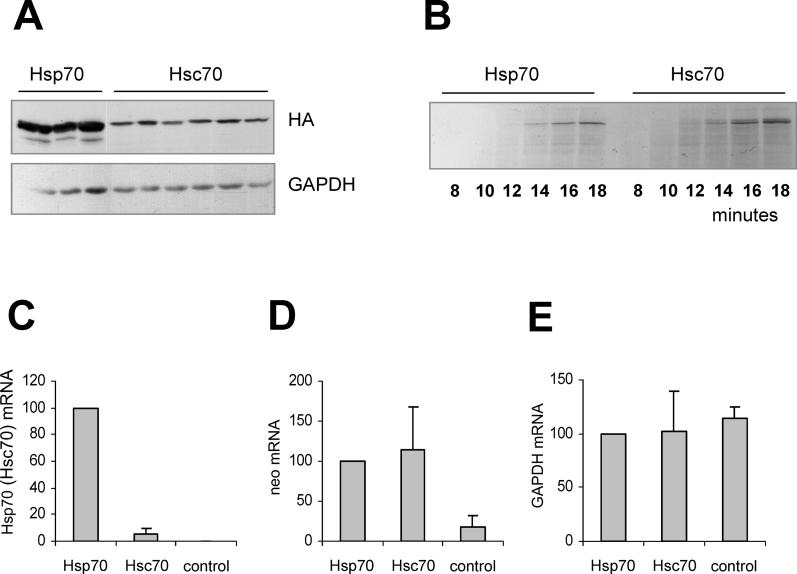 An external file that holds a picture, illustration, etc.
Object name is pbio.0040180.g002.jpg