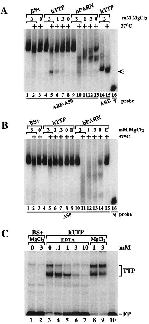 An external file that holds a picture, illustration, etc.
Object name is mb1131613005.jpg