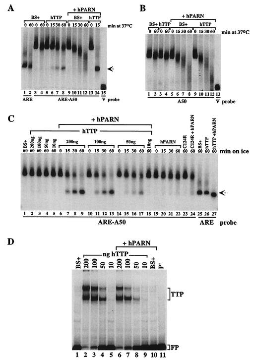 An external file that holds a picture, illustration, etc.
Object name is mb1131613006.jpg