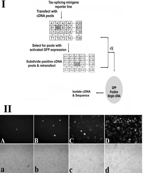 An external file that holds a picture, illustration, etc.
Object name is zmb0180662250002.jpg