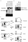 FIG. 6.