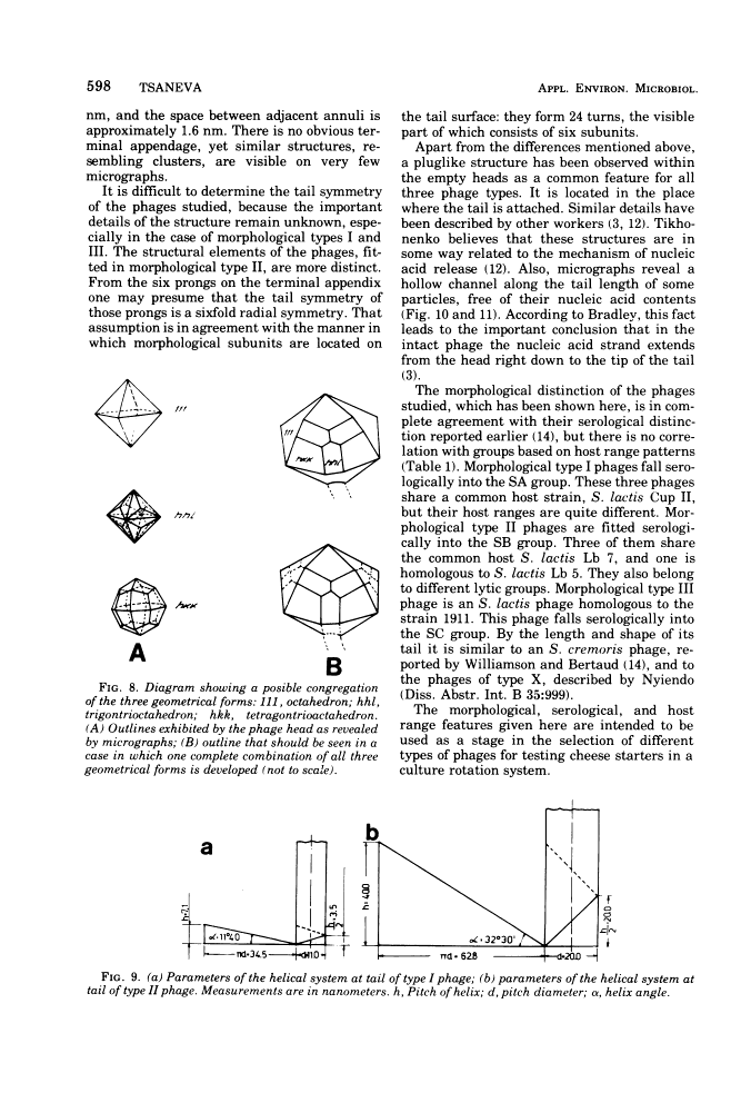 icon of scanned page 598