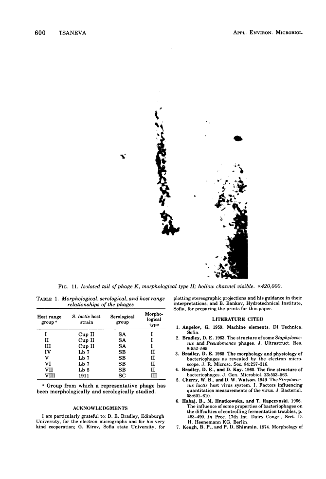 icon of scanned page 600