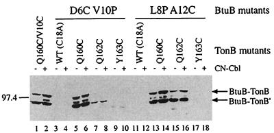 An external file that holds a picture, illustration, etc.
Object name is pq1993014004.jpg