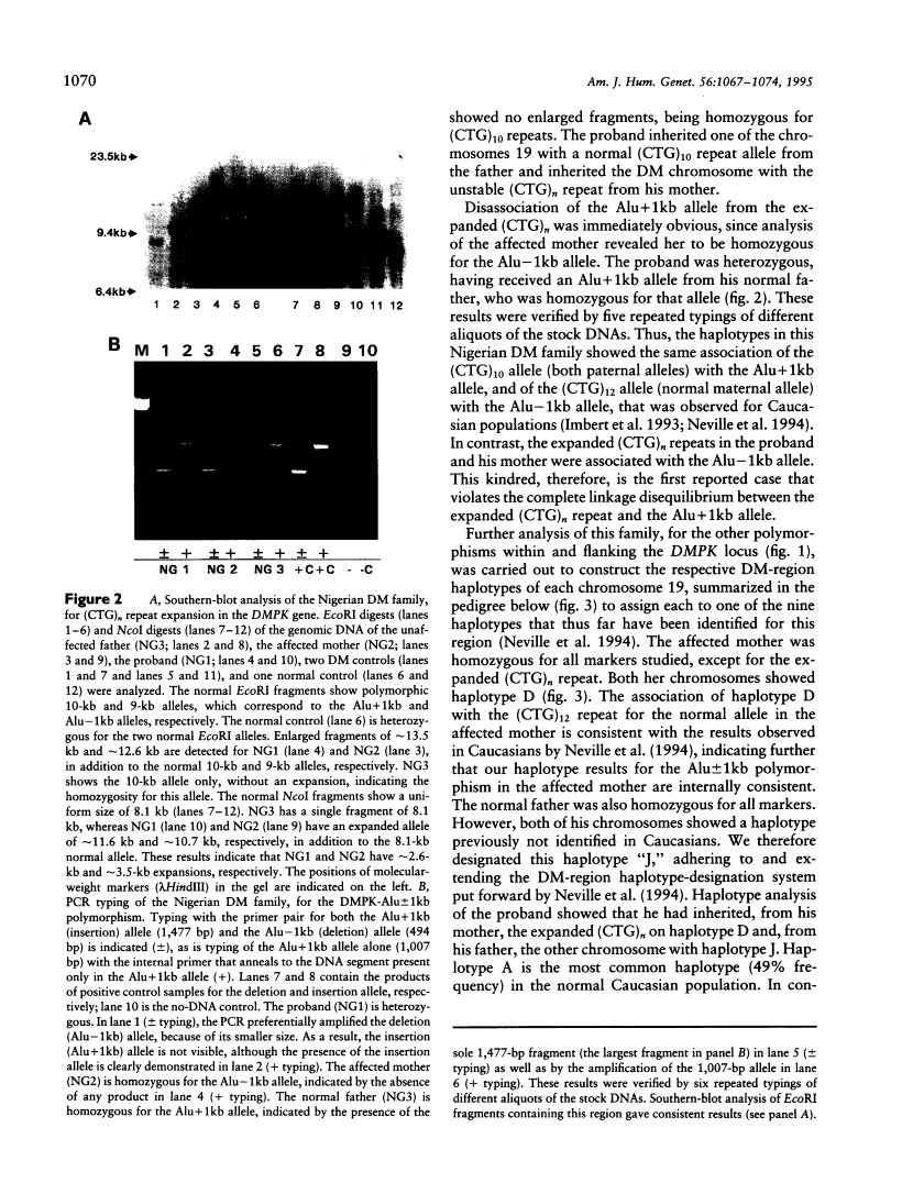 icon of scanned page 1070