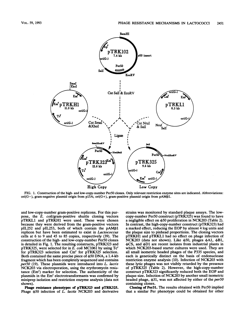 icon of scanned page 2451