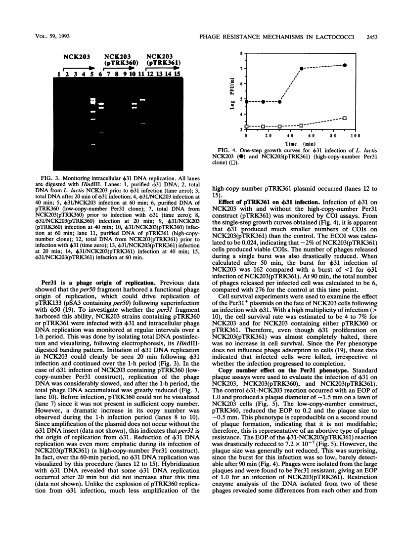 icon of scanned page 2453